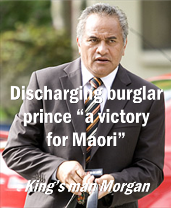 Discharging burglar prince a victory for Maori - Tuku Morgan