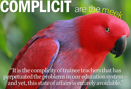 Teacher training - parrot - complicit are the meek